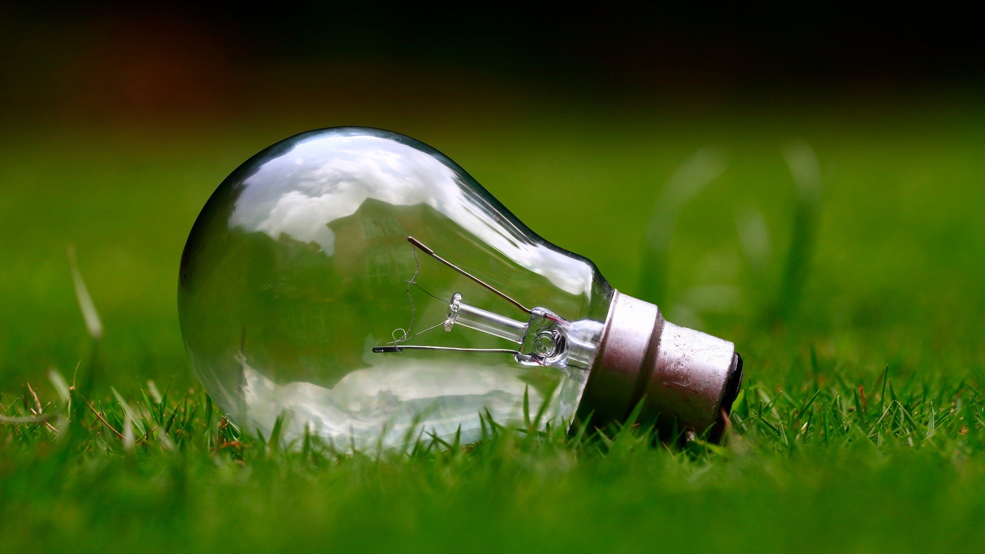 Lights energy shop